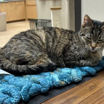 IMG_3195
